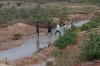 Four Men and a Fish Net